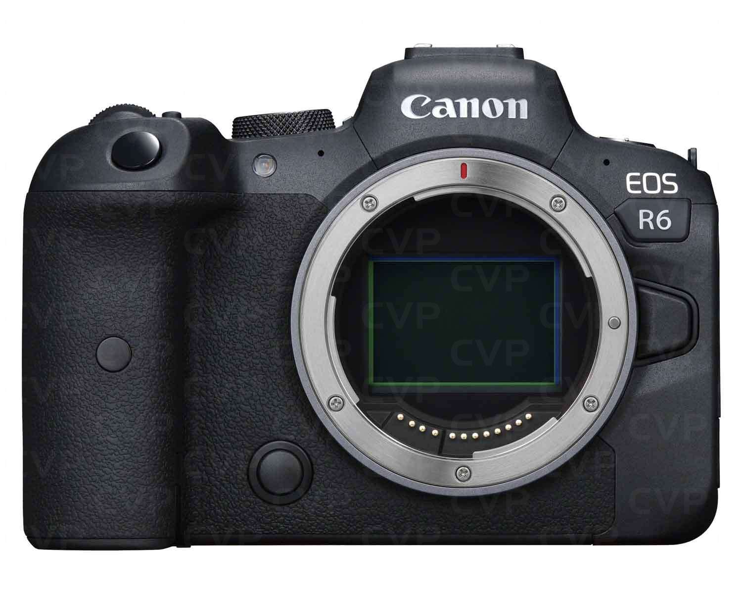 Buy - Canon R6 - Body Only (4082C043)