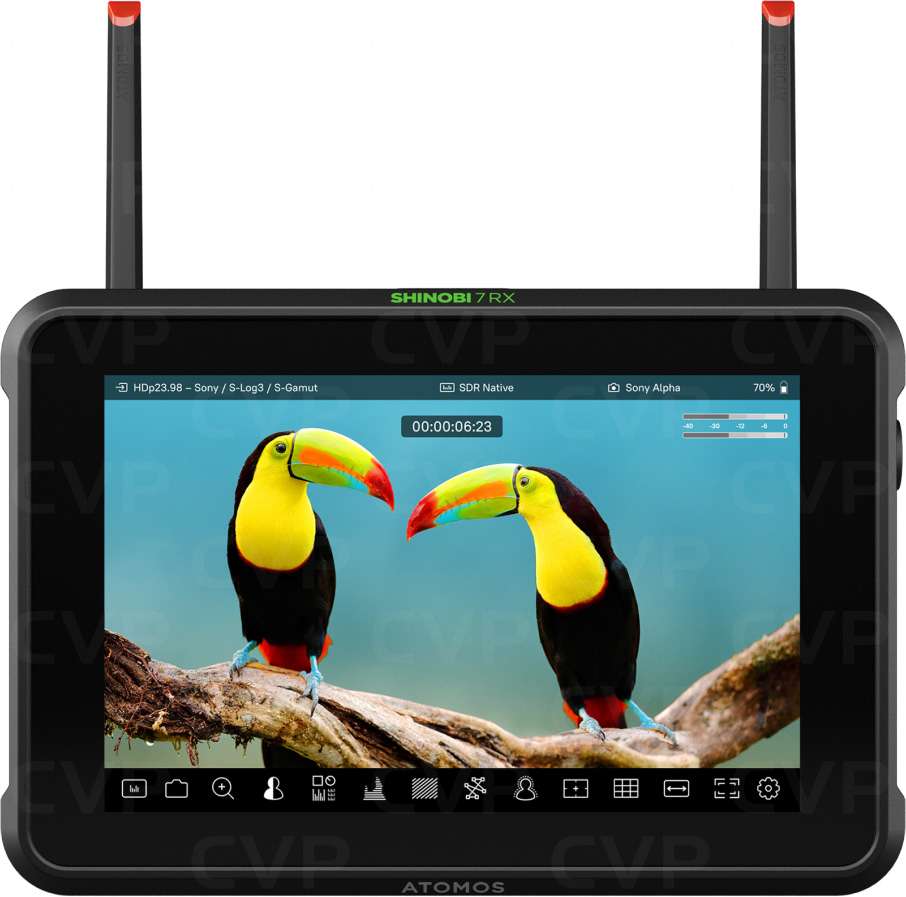 Atomos Shinobi 7 RX | CVP