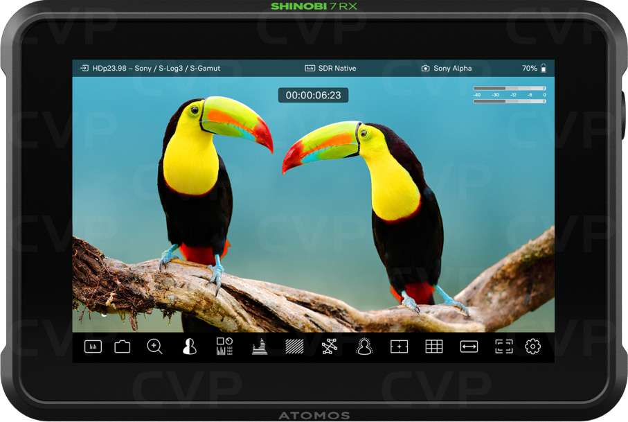 Atomos Shinobi 7 RX | CVP