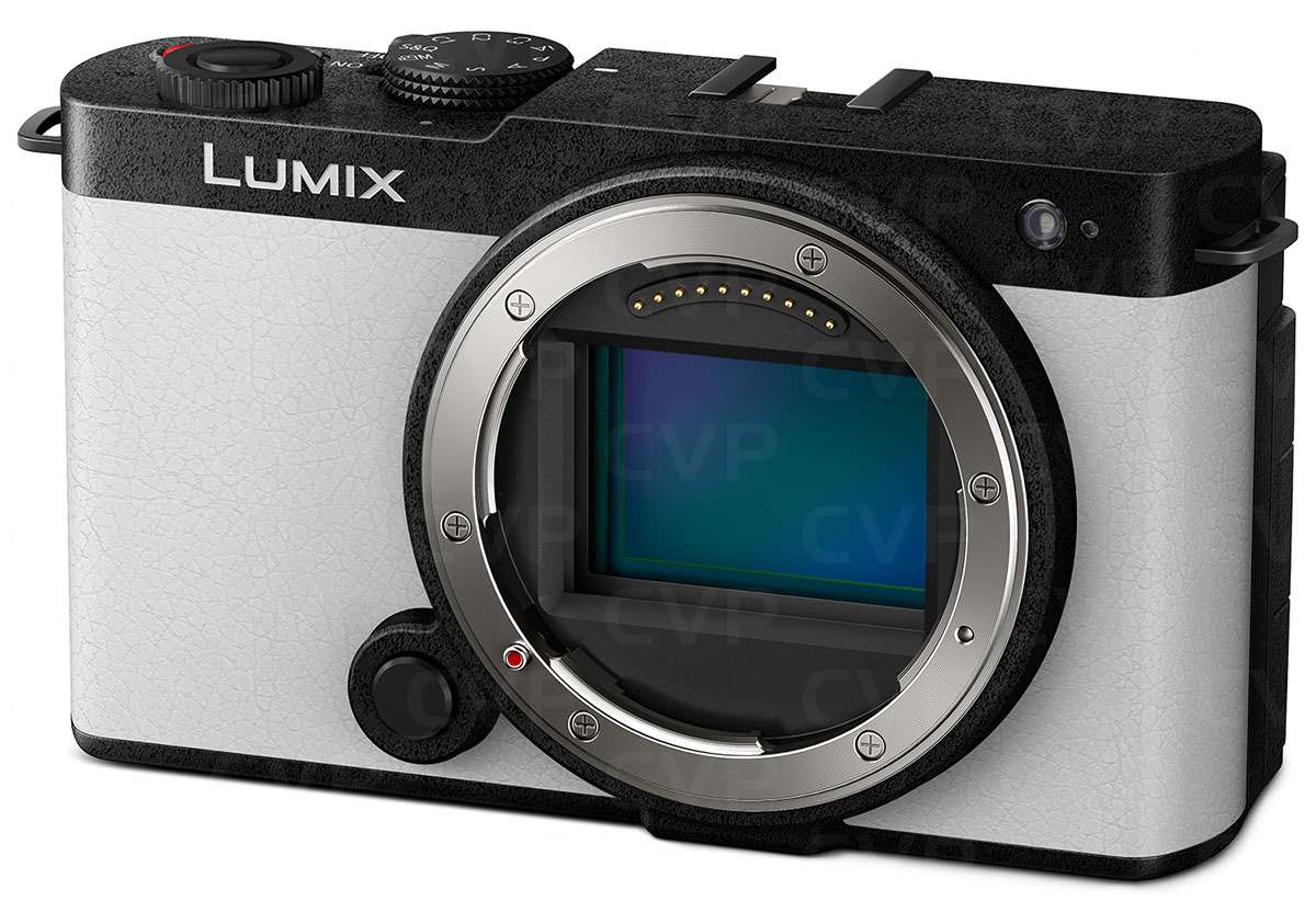 Panasonic LUMIX S9　美品 Panasonic LUMIX S9 - Smokey White | CVP