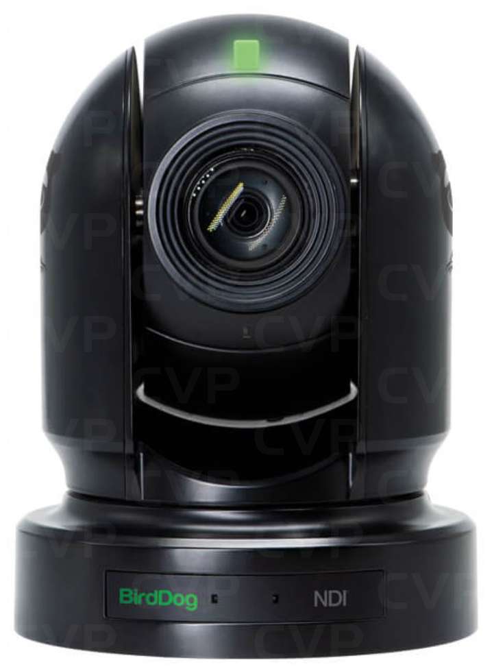 BirdDog Eyes P200、FullNDI対応 PTZカメラ BirdDog Eyes P200 1080P Full NDI PTZ Camera w/Sony Sensor & HDMI
