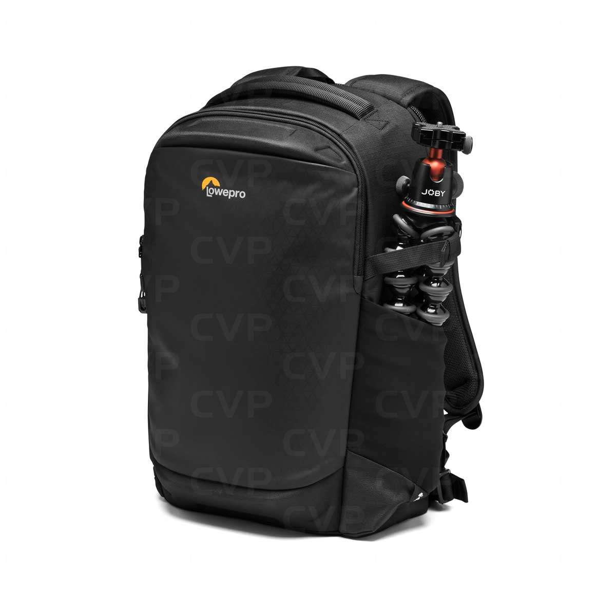 Buy Lowepro Flipside BP 300 AW III (Black) (LP37350-PWW)