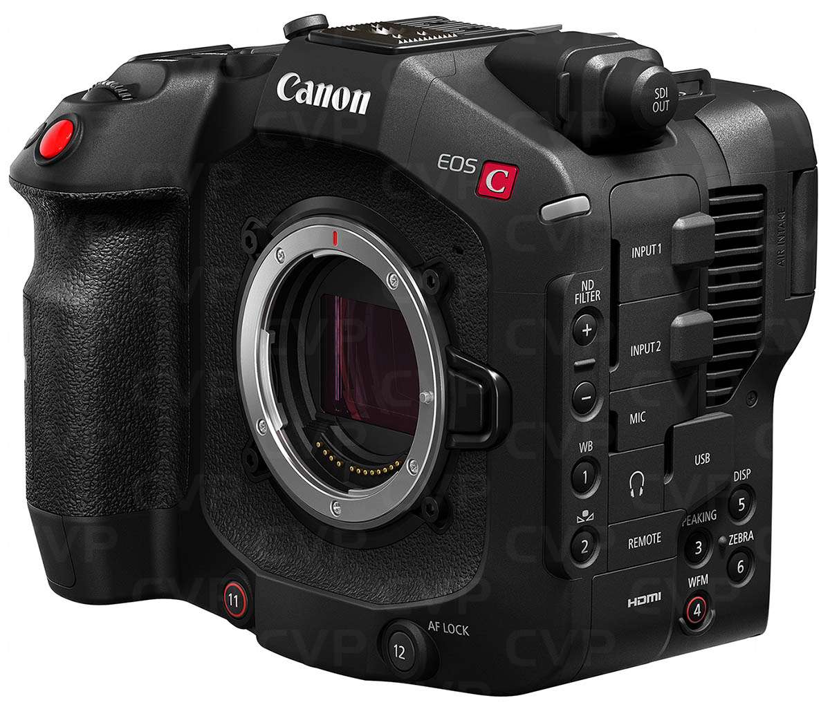 Canon EOS C80 Cinema Camera CVP