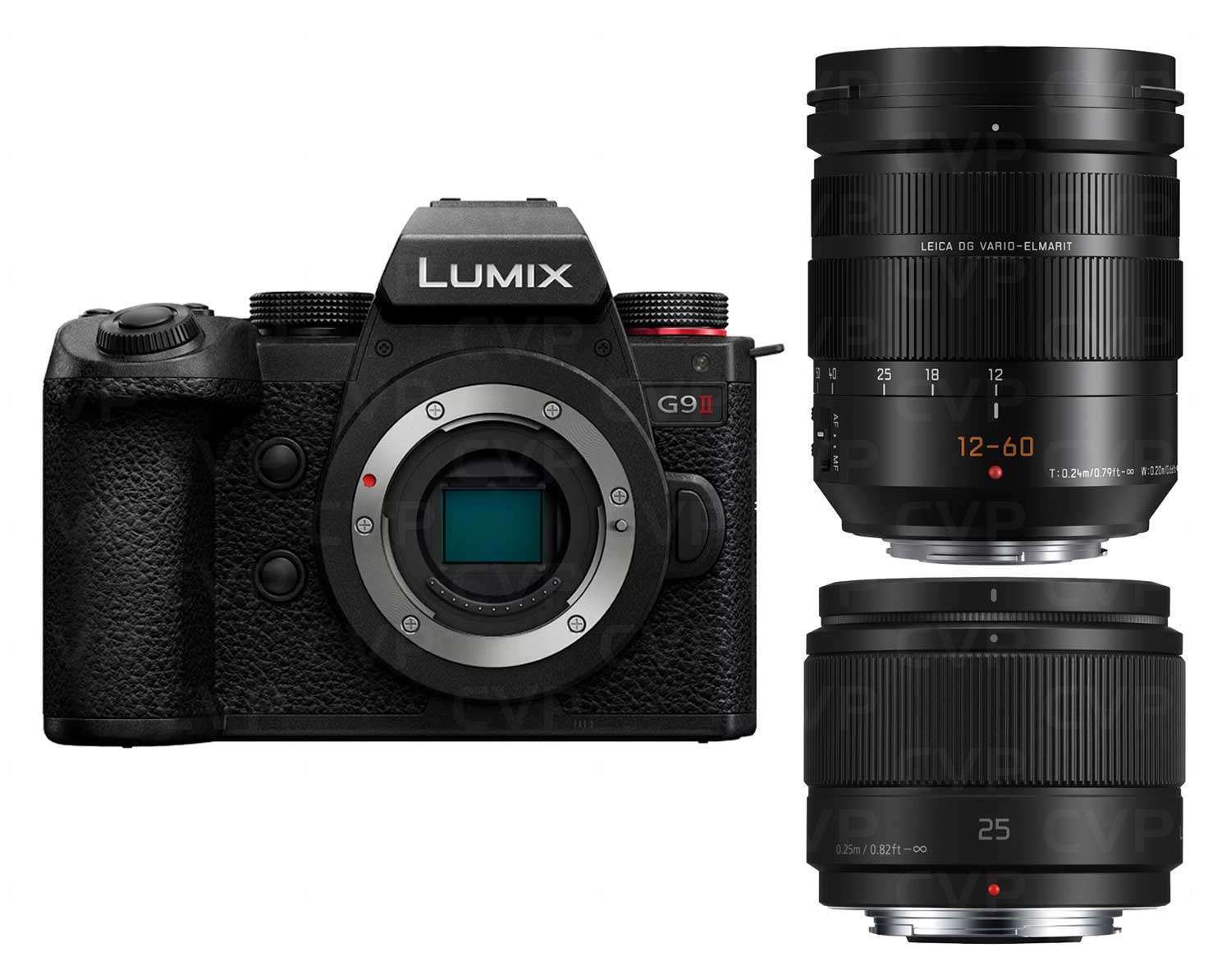 デジタルカメラ Lumix G9 V-Log L Panasonic LUMIX DC-G9L デジタル一眼レフカメラ V-log LUMIX G9ミラー