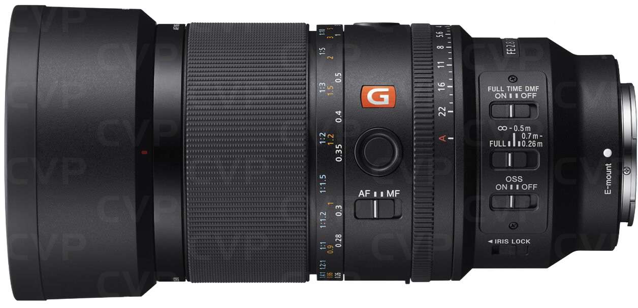 Sony FE 100mm F2.8 Macro GM OSS | CVP