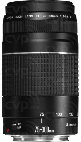 Buy - Canon 75-300mm f/4-5.6 - EF (6473A015)