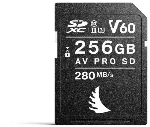 Buy - SanDisk Extreme PRO UHS-II V60 Card - 256GB (SDSDXEP-256G-GN4IN)